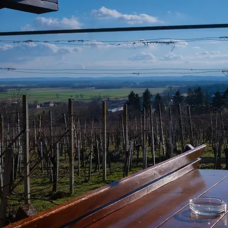 Zidanica Balantic 펜션