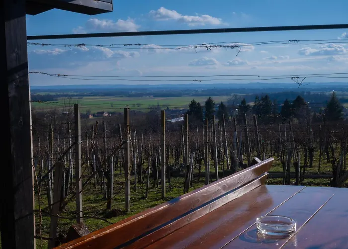 Zidanica Balantic 度假居